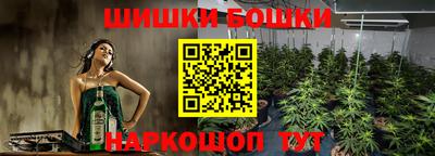 индика Будённовск
