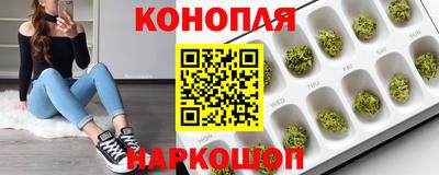 гашиш Апшеронск