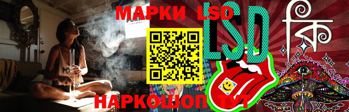 Конопля Ачхой-Мартан