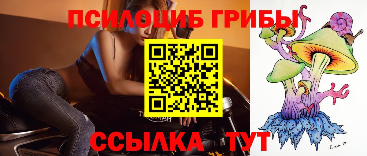 Псилоцибиновые грибы Cubensis  Псилоцибиновые грибы мухоморы  Ачхой-Мартан  цена наркотик  Вход с VPN 
