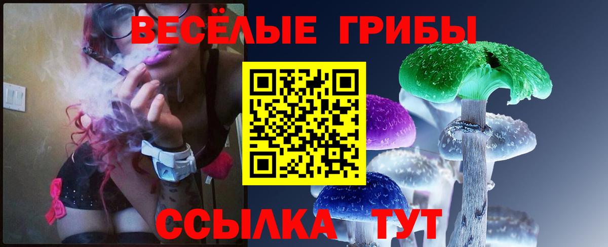 Псилоцибиновые грибы мухоморы Ачхой-Мартан